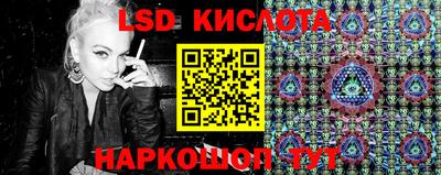 дмт Краснодар