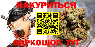 сатива Краснознаменск
