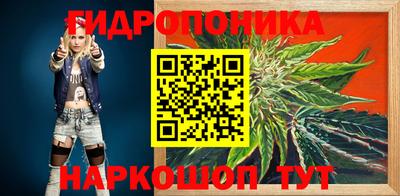 дмт Краснодар