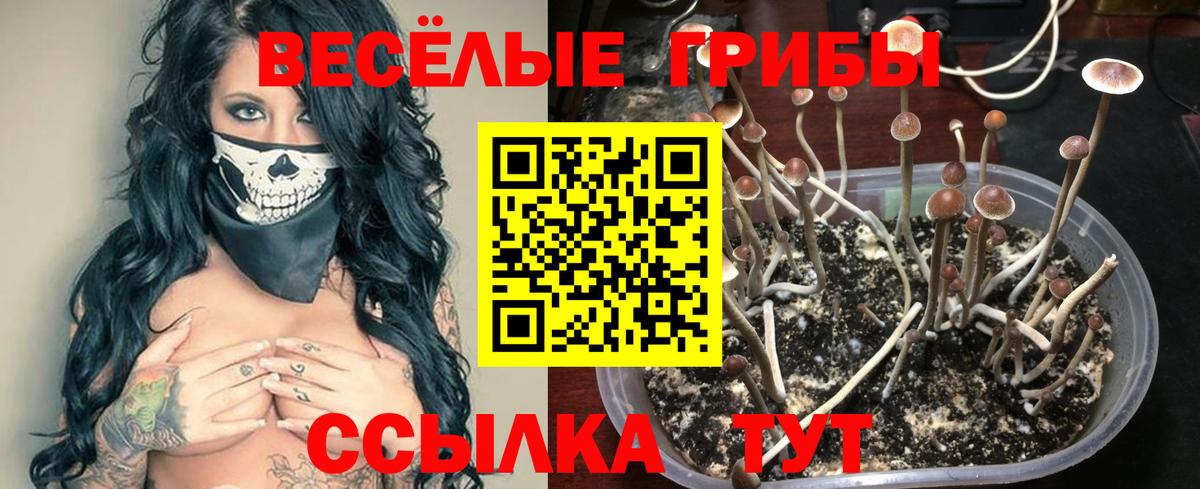 Псилоцибиновые грибы мухоморы  Вход с VPN  Кировск 